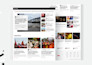 build a wordpress blog or news website magazine website development